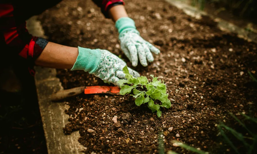 Participants building paths and tending the land as part of the Root & Branch programme